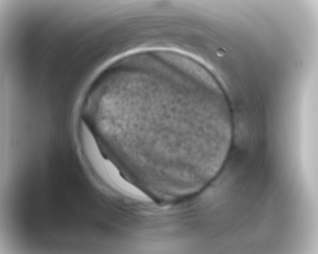X0000088701519200706211935