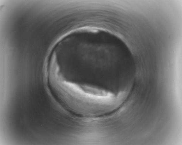 X0000088701522200706211935