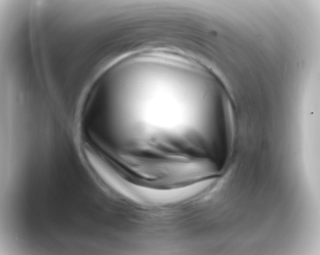X0000088701525200706211935