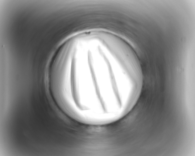 X0000088701526200706211935