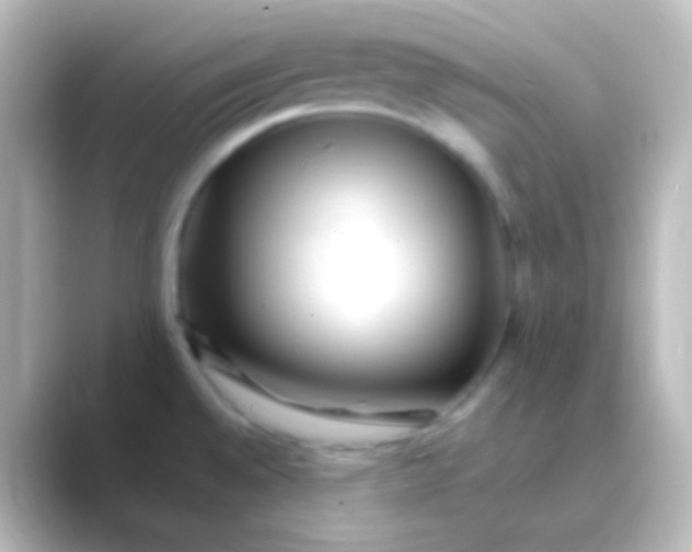 X0000088701528200706211935