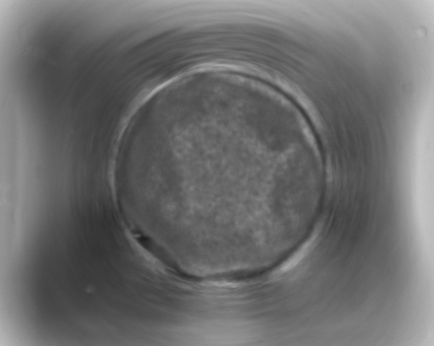 X0000088701529200706211935