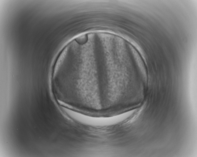 X0000088701533200706211935