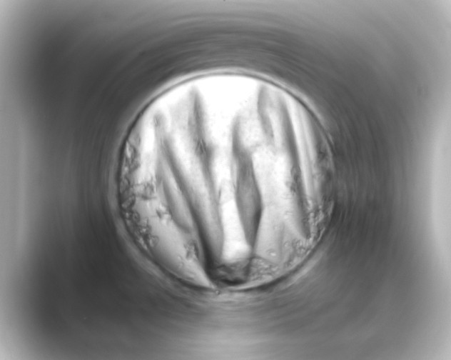 X0000088701534200706211935