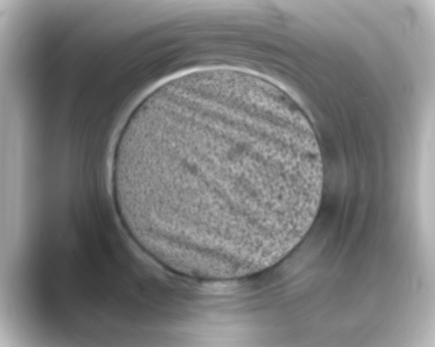 X0000088701535200706211935