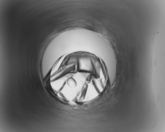 X0000088700003200706282032