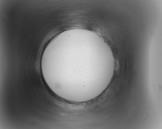 X0000088700004200706282032