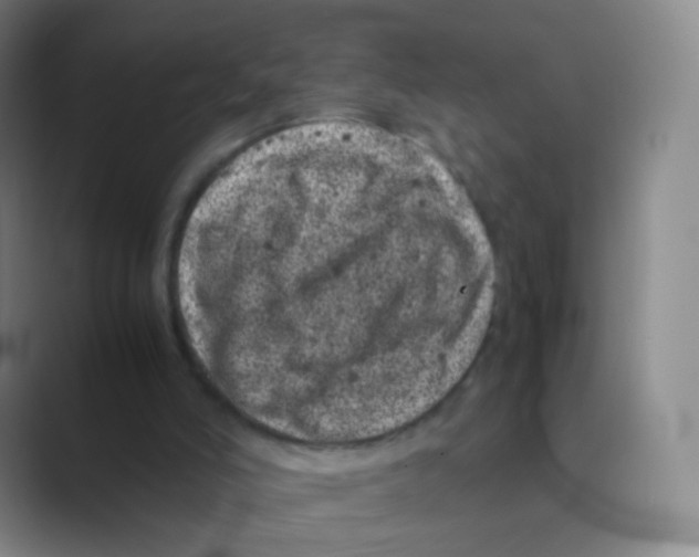 X0000088700006200706282032