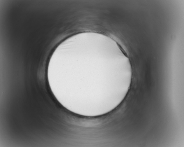 X0000088700008200706282032