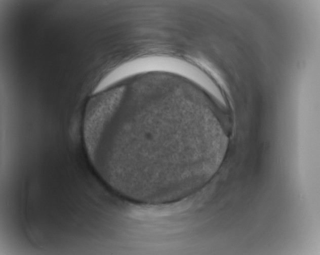 X0000088700009200706282032