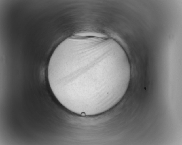 X0000088700010200706282032