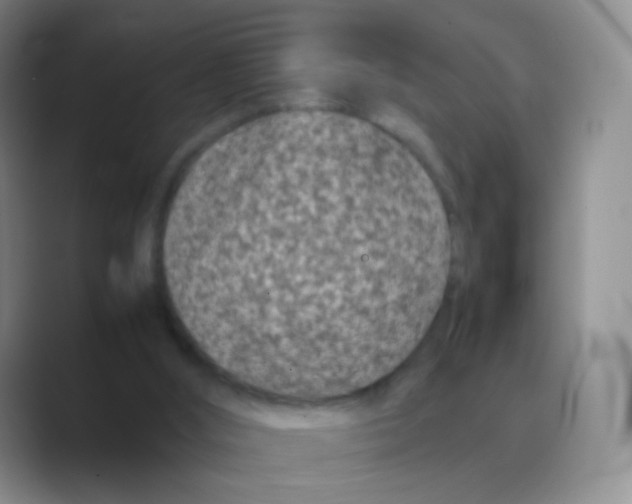 X0000088700012200706282032