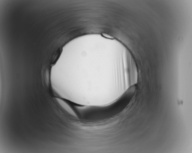 X0000088700013200706282032