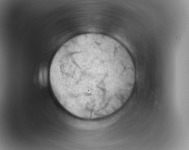 X0000088700014200706282032