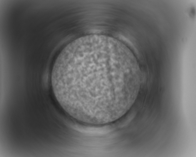 X0000088700016200706282032