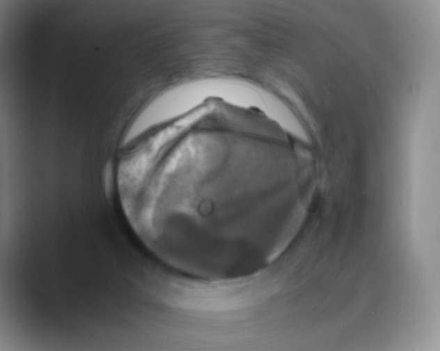 X0000088700019200706282032