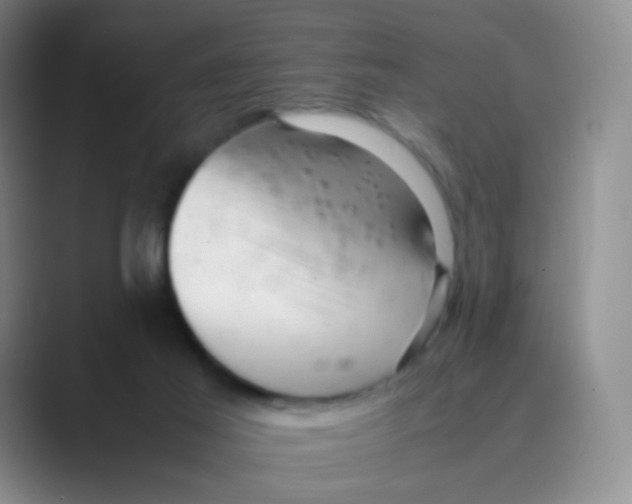 X0000088700021200706282032