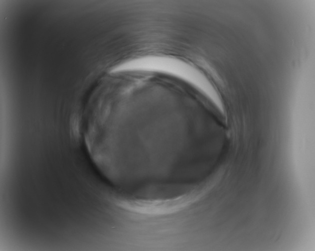 X0000088700023200706282032