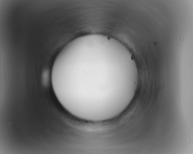 X0000088700024200706282032