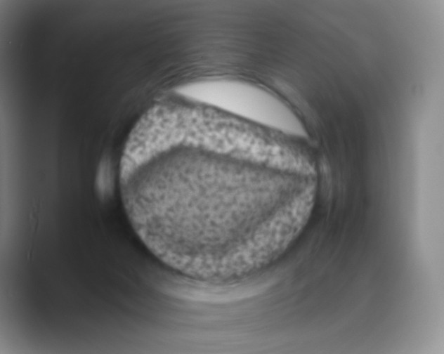 X0000088700026200706282032