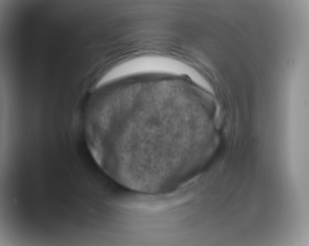 X0000088700029200706282032