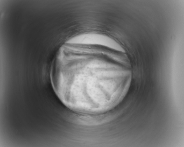 X0000088700030200706282032