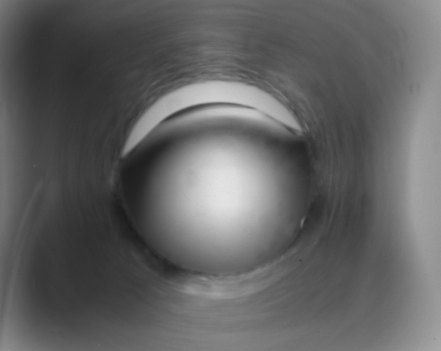 X0000088700033200706282032