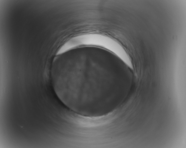 X0000088700035200706282032