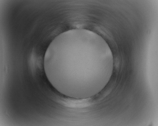 X0000088700036200706282032