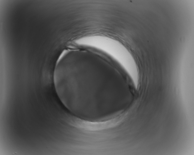 X0000088700039200706282032