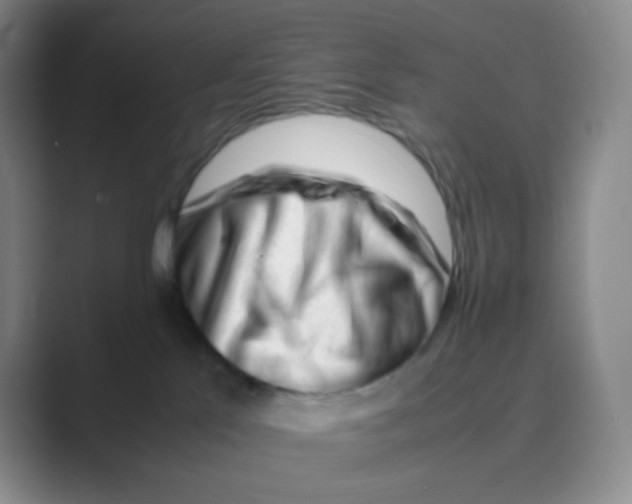 X0000088700041200706282032