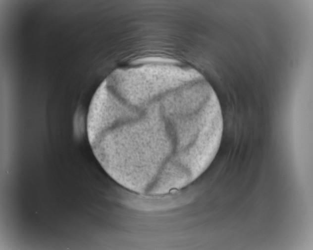 X0000088700042200706282032