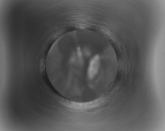 X0000088700043200706282032