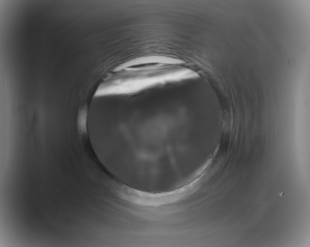 X0000088700047200706282032