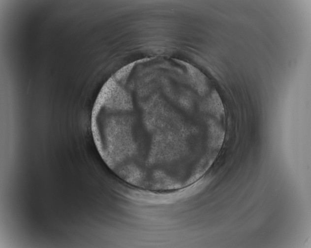 X0000088700048200706282032