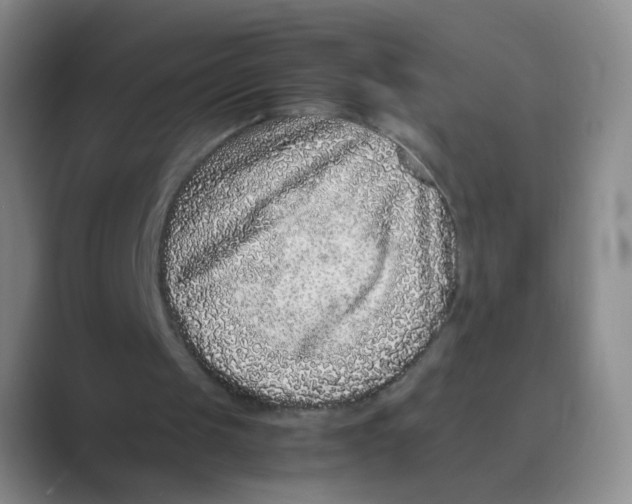 X0000088700049200706282031