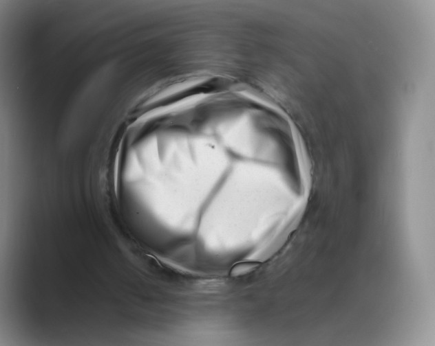 X0000088700050200706282031