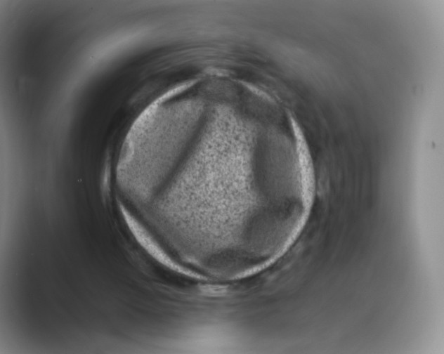 X0000088700052200706282031