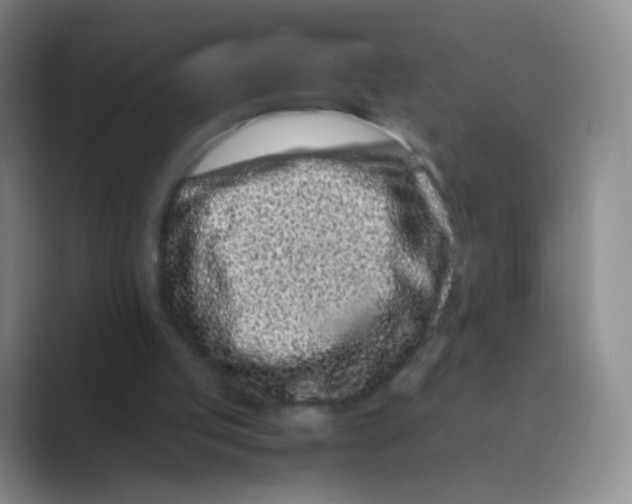 X0000088700053200706282031