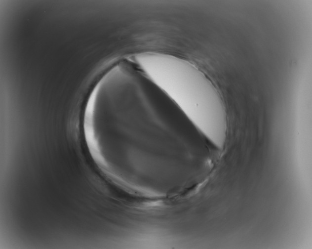 X0000088700054200706282031