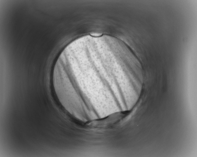 X0000088700055200706282031