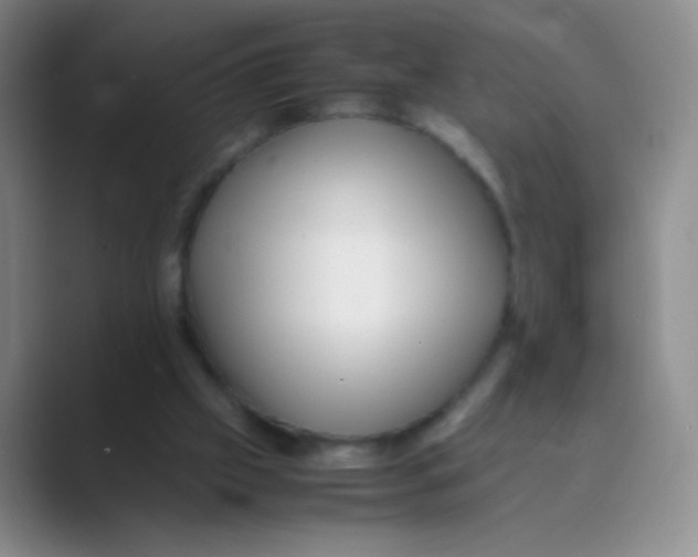 X0000088700057200706282031