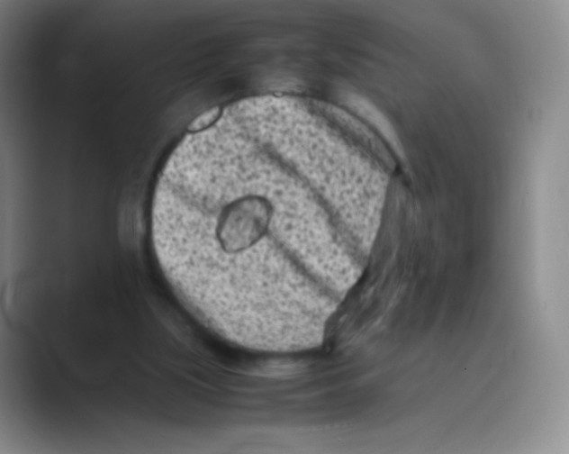 X0000088700059200706282031