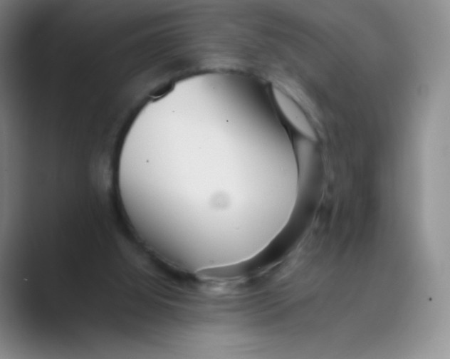 X0000088700060200706282031