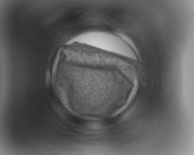 X0000088700061200706282031