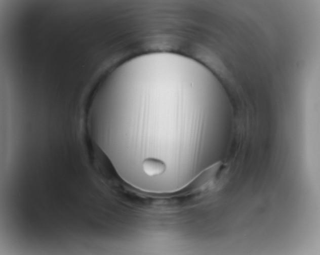 X0000088700064200706282031