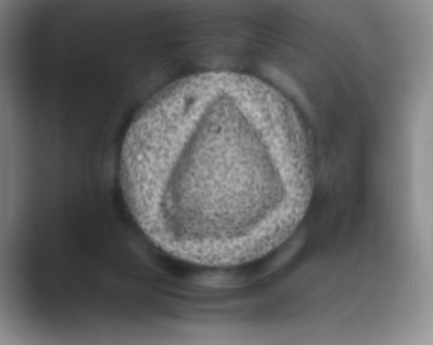 X0000088700065200706282031