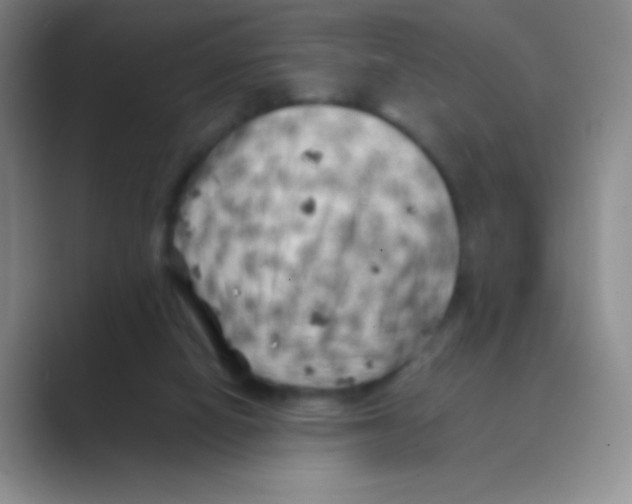 X0000088700066200706282031