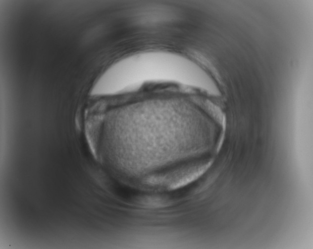 X0000088700069200706282031