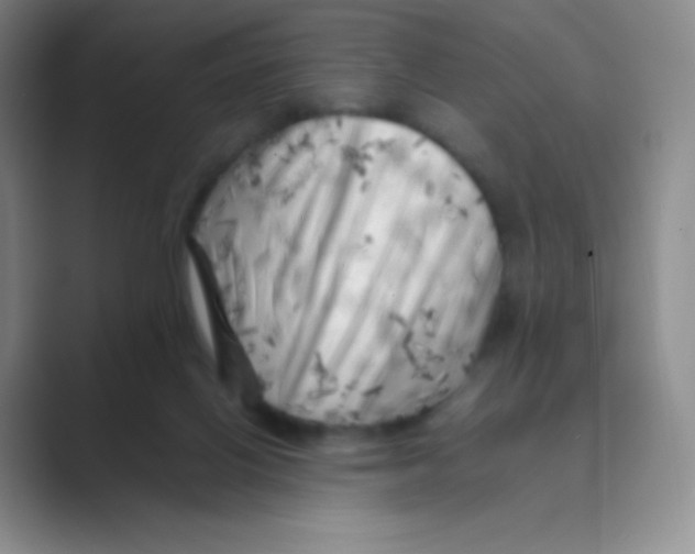 X0000088700070200706282031